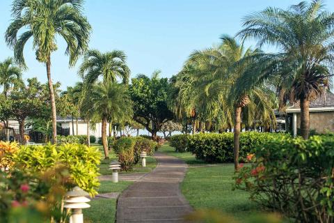 Lush tropical garden pathway with palm trees and lamp posts, possibly a resort area.