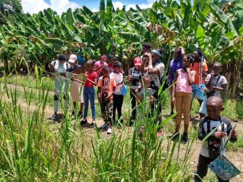 Children Engage In Educational Field Trip In Nature Children and adults on an educational outdoor trip in a lush, tropical setting