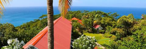 Tropical Resort With Ocean View And Lush Greenery Tropical landscape with red-roofed buildings, lush flora, and ocean view