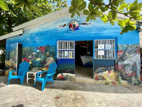 Aquanauts Diving Shop Exterior With Marine Mural Aquanauts Diving shop exterior with vibrant marine mural and cozy seating.