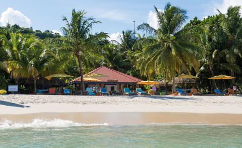 Relax At Savvy Beach Bar With Tropical Scenery Tropical beach bar
