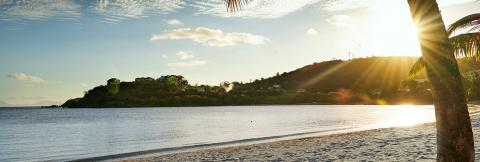 Sunset At Tropical Beach With Palm Tree And Island Sunset at tropical beach with palm tree, calm waters, and hilly island