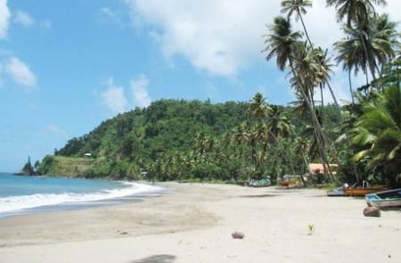 Tropical Beach With Palm Trees And Boats Tropical beach with palm trees, gentle surf, and boats on sandy shore