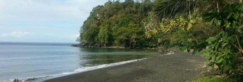 Serene Volcanic Beach Scene With Lush Greenery Secluded beach with dark sand and lush greenery, calm sea to the left