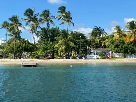Tropical Beach With Blue Waters And Palm Trees Tropical beach with clear blue waters, sandy shore, palm trees, and a beach bar.