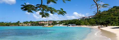 Tropical Beach Scene With Catamaran And Palm Trees Tropical beach scene with palm trees, calm turquoise ocean, and yellow catamaran