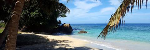 Serene Tropical Beach With Blue Waters And Palm Trees Serene beach with blue waters, soft sand, palm trees, and gentle waves for relaxing.