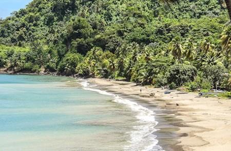 Serene Tropical Beach With Clear Blue Waters Secluded tropical beach with clear blue waters and lush greenery