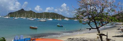 Scenic Beach With Boats And Blooming Tree Scenic beach with sailing boats, clear blue waters, and lush green hills