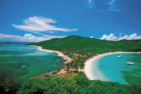 Stunning Tropical Island Bay With Sailboats And Palms Tropical island bay with turquoise water, sandy beach, sailboats, and lush greenery