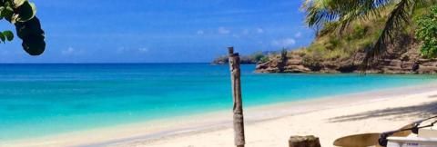 Serene Tropical Beach With Blue Waters And Palms Tropical beach with clear sky, turquoise water, green foliage, and wooden post