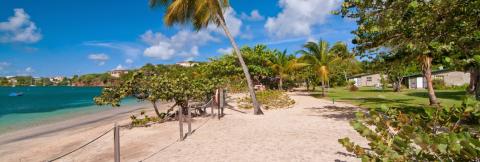 Serene Tropical Beach With Clear Blue Waters Tropical beach with clear blue waters, sandy shore, palm trees, and small boats