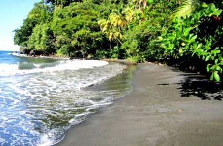 Serenity On A Secluded Tropical Beach, Relaxation Serene tropical beach with dark sand and lush greenery, ideal for relaxation.