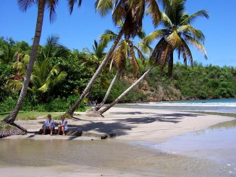 Tranquil Tropical Beach With Palm Trees And Lagoon Tranquil tropical beach with two people, coconut palms, and clear sunny sky.