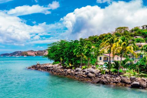 Tropical Coastal Scene With Lush Palms And Sea Tropical coastal scene with turquoise sea, palm trees, and colorful buildings