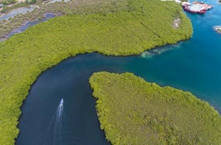 Speedboat In Coastal Mangrove Area Aerial View Aerial view of speedboat in coastal mangrove bay with moored boat