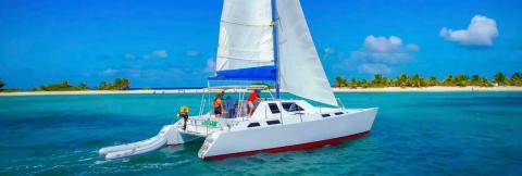 Catamaran Sailing Tropical Beach Scene Catamaran sailing near palm-lined beach with clear blue sky and turquoise water.