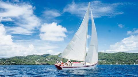 Sailboat Adventure On Tropical Blue Sea Sailboat with white hull and unfurled sail on blue sea near green island