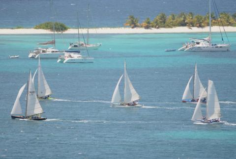 Sailboats And Yachts On Tropical Blue Waters Coastal scene with sailboats, yachts, and palm trees on a sunny day.