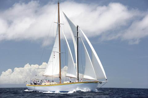 Luxury Yellow Sailing Yacht On Open Sea Adventure Sleek yellow and white sailing yacht cruising on the sea with passengers