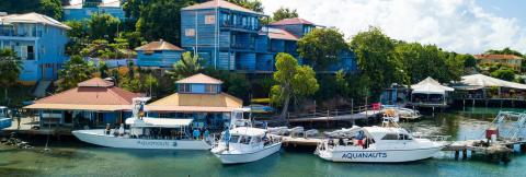 Tropical Marina With Aquanauts Boats, Coastal Tourism Coastal marina scene with Aquanauts boats docked and colorful hillside homes.