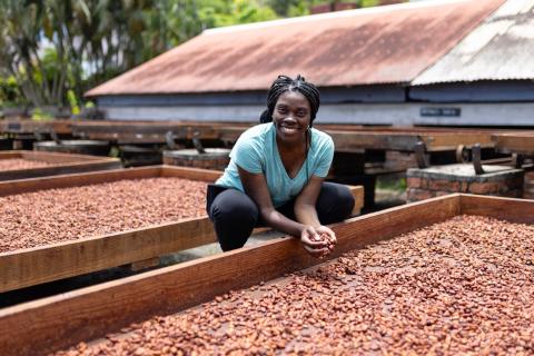 Woman Sun-Drying Cocoa Beans In Tropical Farm Woman smiling amid sun-drying cocoa beans in a tropical setting.