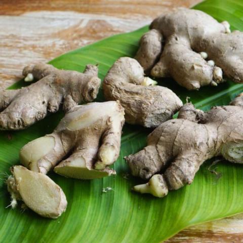 Fresh Ginger Root On Banana Leaf - Buy Now Fresh unpeeled ginger root pieces on a green banana leaf, some cut open.
