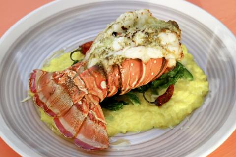 Gourmet Lobster Tail With Creamy Risotto Dish Grilled lobster tail with creamy saffron risotto and greens on a gray plate