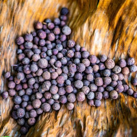 Allspice Berries Close-Up On Wooden Surface Close-up of allspice berries on a wooden background, aromatic and colorful.