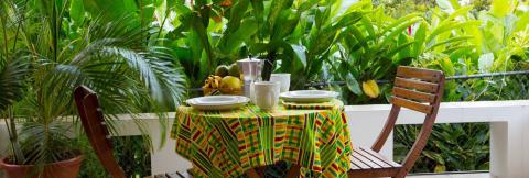 Tropical Outdoor Dining Setup With Fresh Fruit Outdoor brunch setup with tropical background and fresh fruit on table.