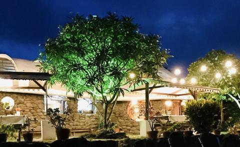 Cozy Outdoor Cafe With String Lights And Greenery Cozy outdoor restaurant with warm lights, greenery, and stone architecture.