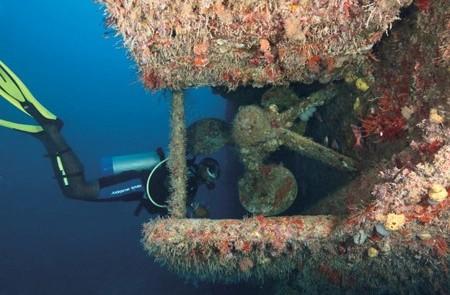 Diver Explores Coral-Encrusted Sunken Ship Diver explores coral-covered sunken ship, enhancing marine biodiversity.