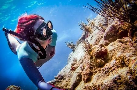 Female Scuba Diver Exploring Vibrant Coral Reef Female scuba diver explores vibrant coral reef underwater.