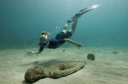 Underwater Diving Adventure Near Coral Reefs Diver with fins and snorkel swims near coral on sandy seabed in clear water