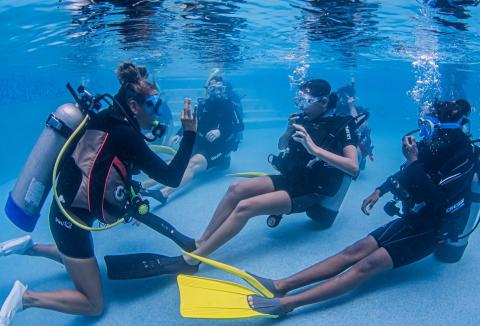 Scuba Diving Training In Pool With Camera Scuba diving training in pool with divers geared up, one with camera.