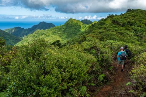 Hikers On Coastal Trail Amidst Tropical Greenery Two hikers on a coastal trail with lush greenery and sea views