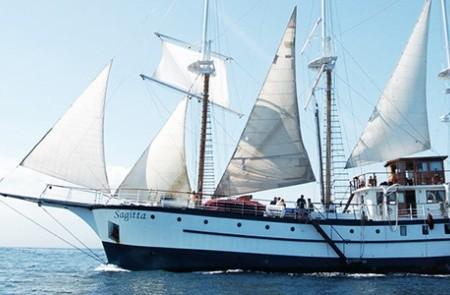 Sailing Adventure On Ship Sagitta In Calm Seas Sagitta sailing ship on calm ocean with people on deck under clear skies
