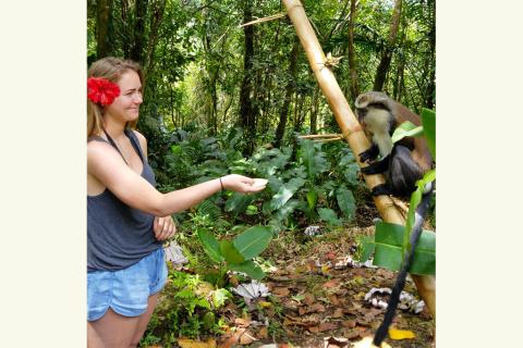 Woman Feeding Mona Monkey In Tropical Forest Woman feeding Mona monkey in lush forest, both smiling, promoting wildlife conservation.