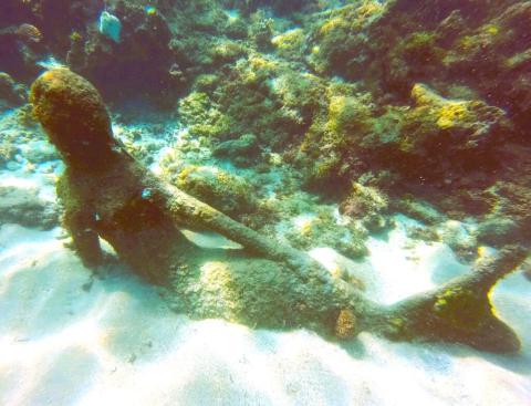 Underwater Anchor With Marine Life In Coral Reef Underwater anchor with marine growth in clear, shallow reef waters