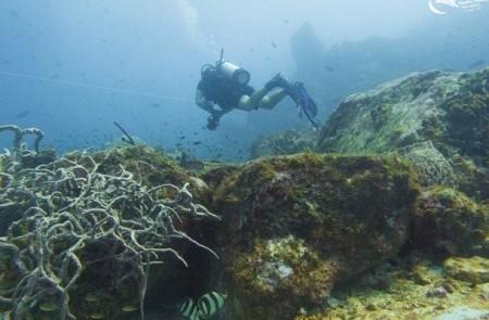 Scuba Diver Exploring Coral Reef With Fish Scuba diver exploring a reef with fish and corals in murky ocean waters.