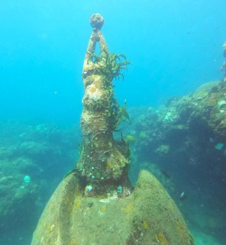 Underwater Statue Encrusted With Marine Life Underwater statue encrusted with marine life in a murky ocean setting