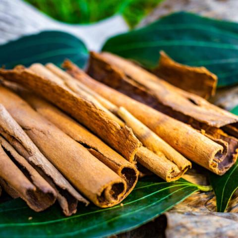Organic Cinnamon Sticks On Green Leaves Display Cinnamon sticks on green leaves, dry and fibrous texture, rustic organic presentation