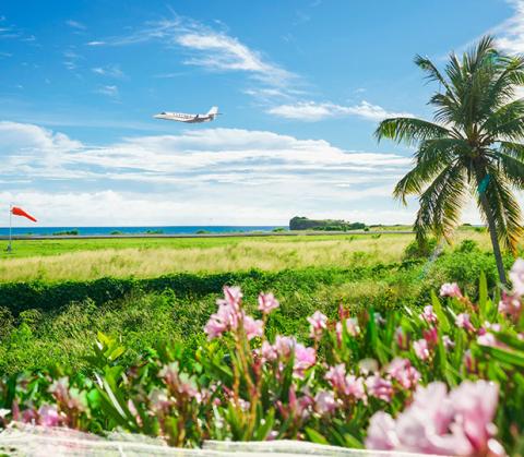 Tropical Landscape With Airplane, Sea, And Flowers Tropical landscape with pink flowers, palm tree, sea view, and airplane in the sky.