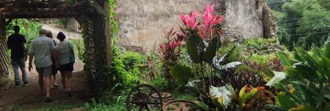 Visitors Stroll In Lush Tropical Garden Path Group of adults walking in a lush tropical garden with rustic architecture.