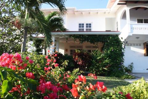 Lush Tropical Garden With Pink Blooms And White House Colorful garden with pink flowers and tropical plants near a white house