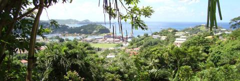 Tropical Coastal Town With Lush Greenery And Harbor Panoramic view of a tropical coastal town with lush greenery and a harbor