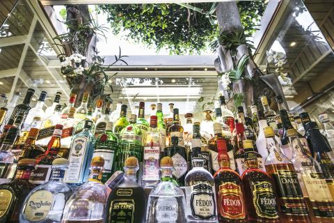 Assorted Spirits On Bar Shelf In Greenhouse Setting Colorful bar shelf with assorted alcohol bottles in greenhouse setting