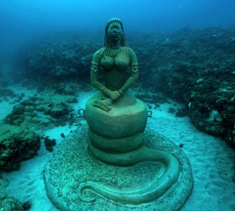 Underwater Mermaid Sculpture In Marine Habitat Underwater mermaid sculpture on rock with detailed adornments in shallow sea