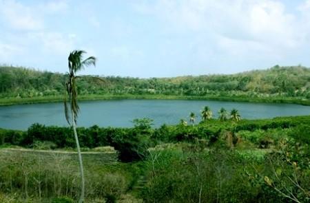 Tropical Lake With Palm Trees And Lush Greenery Tropical lake with lush greenery and bending palm trees, partly cloudy sky