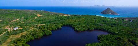 Aerial View Of Coastal Landscape With Freshwater Lake Aerial view of a lush coastal zone with a dark freshwater lake and ocean backdrop.